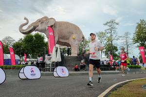 BIB: 
                            <button type="button" onclick="openModal(26528739)" class="btn btn-primary btn-sm float-right btn-popup" data-toggle="modal" data-target=".modal-high-quality">
                        <i class="fas fa-shopping-cart"></i> Add to Cart
                    </button>
                                            <button type="button" onclick="isThisMe(26528739, true)" class="btn btn-success btn-sm float-right btn-popup btn-isme hidden" data-toggle="tooltip" data-placement="bottom" title="นี่คือรูปของคุณใช่ไหม คลิกที่นี่เพื่อเอาเข้าอัลบั้ม">
                        <i class="fas fa-plus"></i> Add to album
                    </button>
                    <button type="button" onclick="isThisMe(26528739, false)" class="btn btn-warning btn-sm float-right btn-popup btn-isnotme hidden">
                        <i class="fas fa-ban"></i> Remove from album
                    </button>